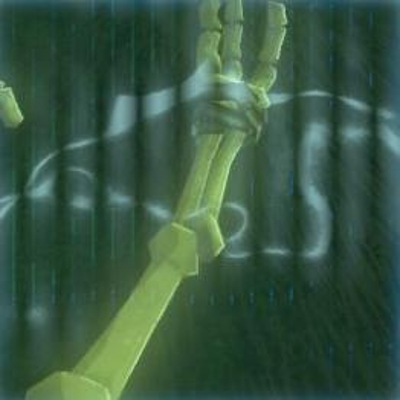 245 ボコブリンの骨の画像