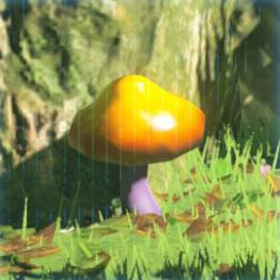 175 ガッツダケの画像