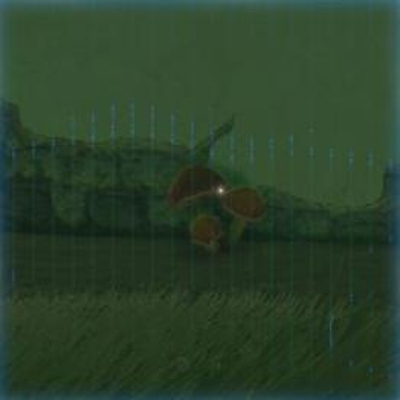 180 ポカポカダケの画像