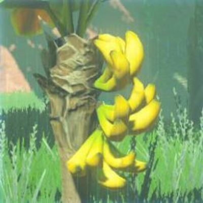 173 ツルギバナナの画像