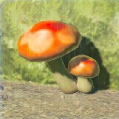 174 ハイラルダケの画像