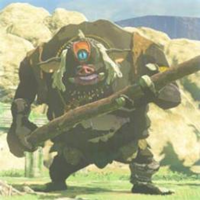149 黒ヒノックスの画像
