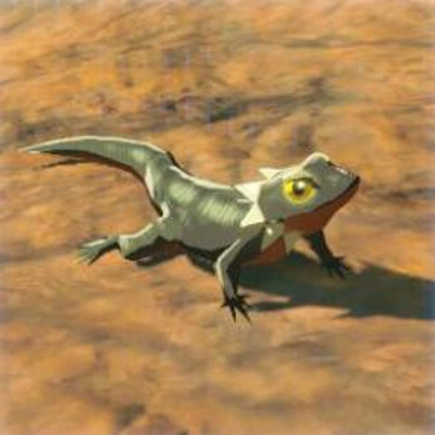 83 ヒケシトカゲの画像