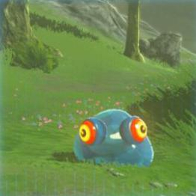 84 チュチュの画像