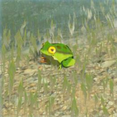 79 ゴーゴーガエルの画像