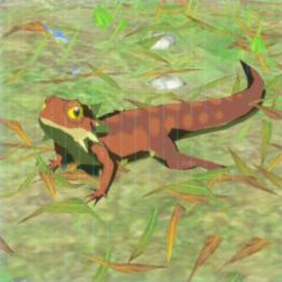 81 ゴーゴートカゲの画像
