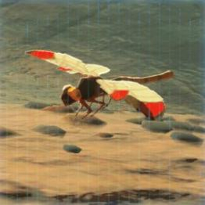 72 ポカポカヤンマの画像