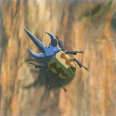 75 ツルギカブトの画像