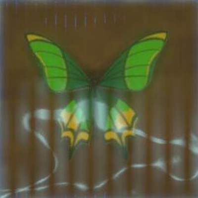 69 ビリビリアゲハの画像