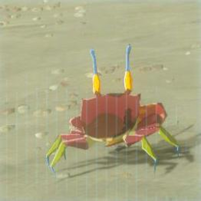 64 ヨロイガニの画像
