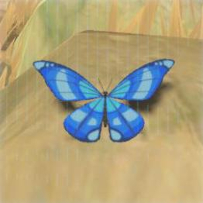 67 ヒンヤリアゲハの画像
