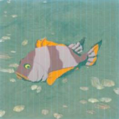 59 ツルギダイの画像