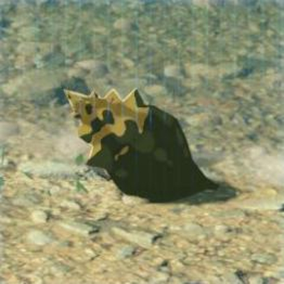 61 シノビタニシの画像