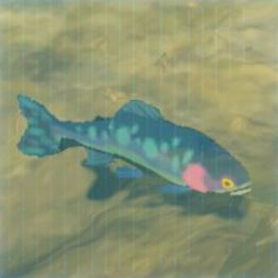 52 ヒンヤリマスの画像