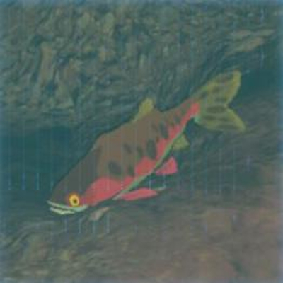 53 ポカポカマスの画像