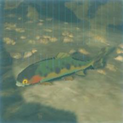 54 ビリビリマスの画像