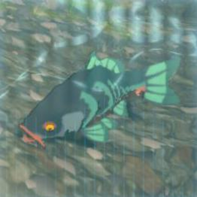 57 ヨロイゴイの画像