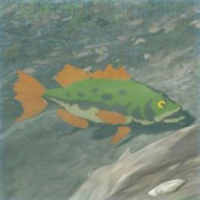 48 ハイラルバスの画像
