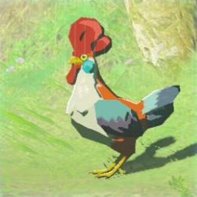 47 コッコの画像