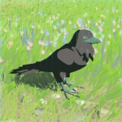 40 ヤマガラスの画像