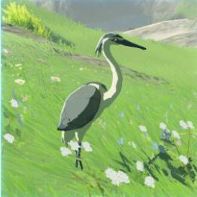42 アオバサギの画像