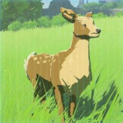 15 ヤマシカ（雌）の画像