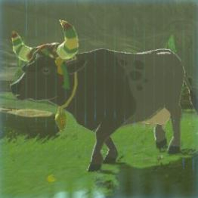 17 ハテノウシの画像