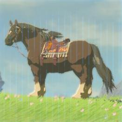1 馬の画像
