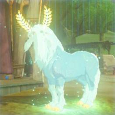 4 山のヌシの画像