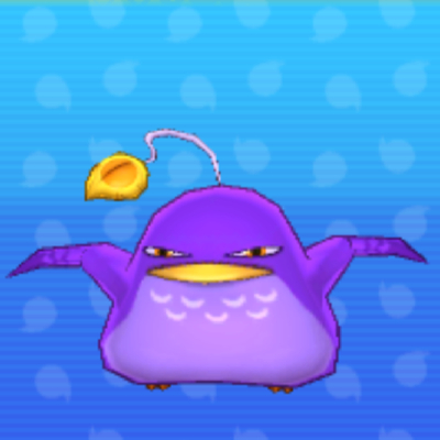 ヨコドリの画像
