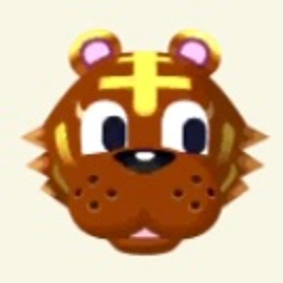 ルーズの画像