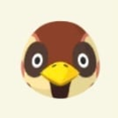 ちゅんのすけの画像