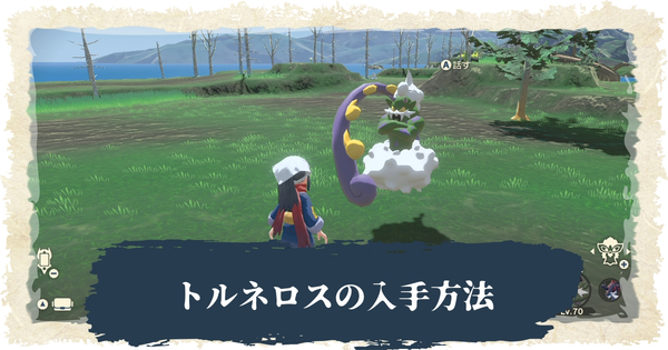 正規品 ポケモン 6枚セット アルセウス シングルカード Jbarber Es