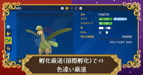 ポケモンsv タマゴの仕様解説と効率的な入手方法 スカーレット バイオレット 攻略大百科