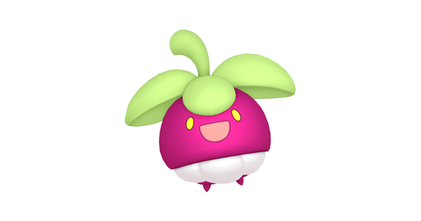 アマカジの画像