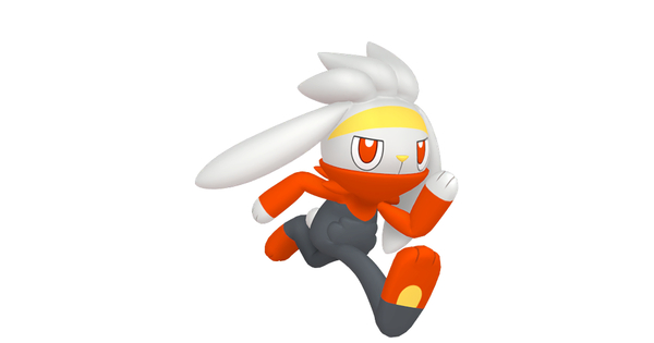 ラビフットの画像