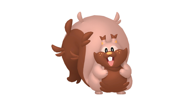 ヨクバリスの画像