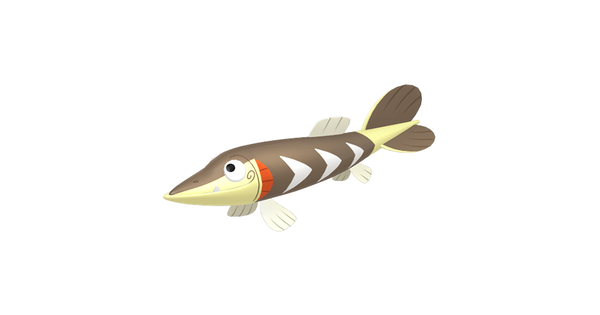 サシカマスの画像