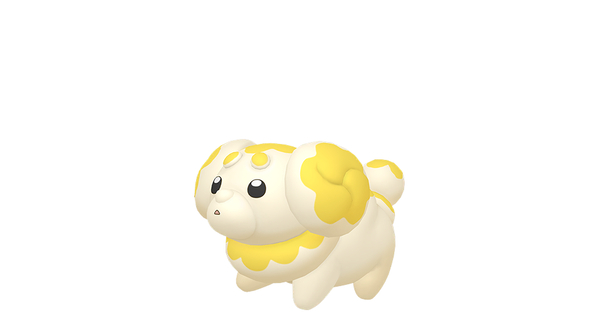 パピモッチの画像
