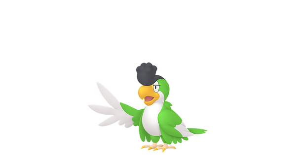 イキリンコの画像