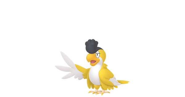 イキリンコの画像