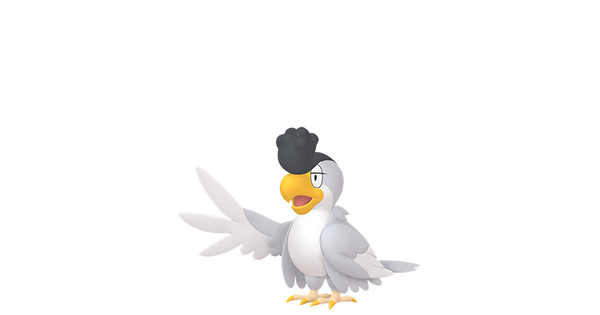 イキリンコの画像