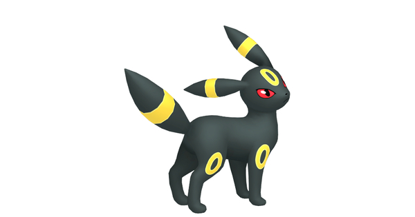 ブラッキーの画像