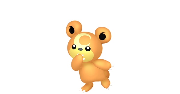 ヒメグマの画像