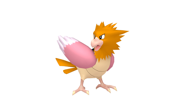 オニスズメの画像