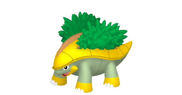 ハヤシガメの画像