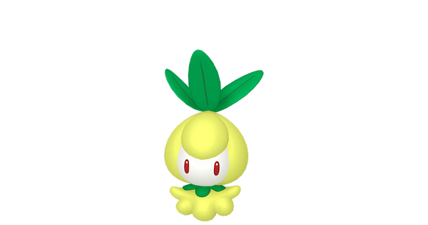 チュリネの画像