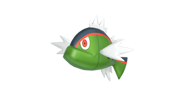バスラオの画像