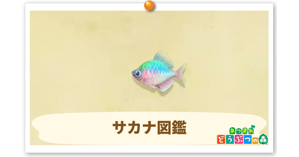 サカナ図鑑の画像