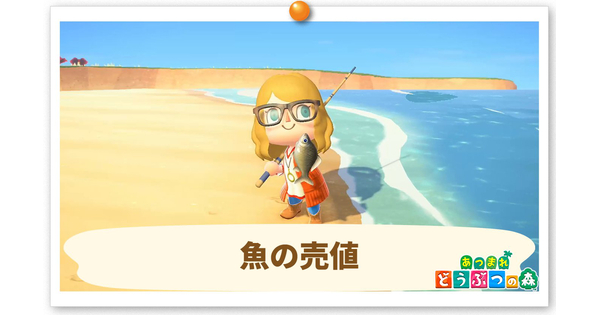 魚 値段ランキングの画像